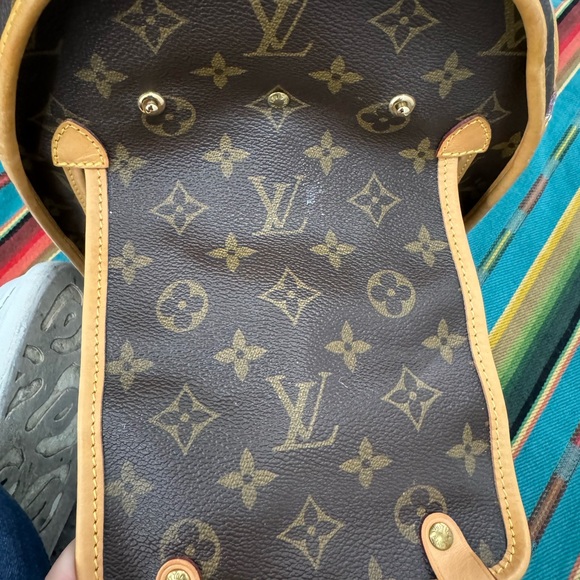 LOUIS VUITTON Pet Carry Monogram Sac Shan 40 - Picture 2 of 13